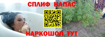ECSTASY Бузулук