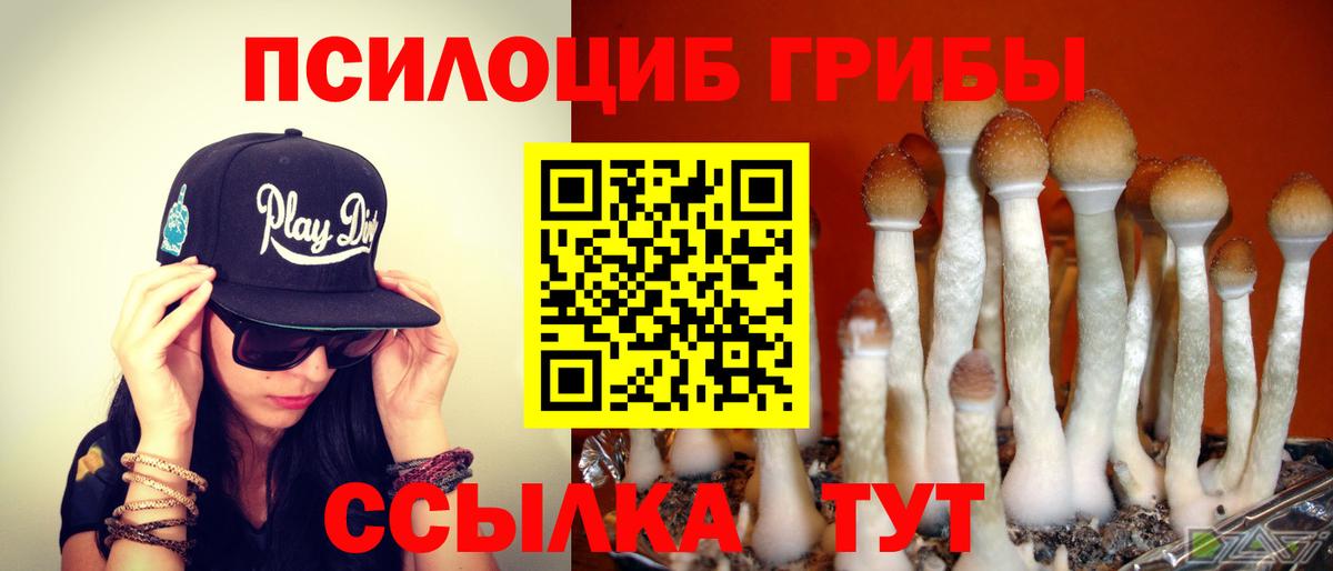хочу наркоту  Псилоцибиновые грибы Cubensis  Краснокаменск  Вход с VPN  Псилоцибиновые грибы Magic Shrooms 